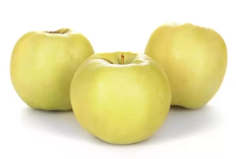 õunad veenilaiendite raviks